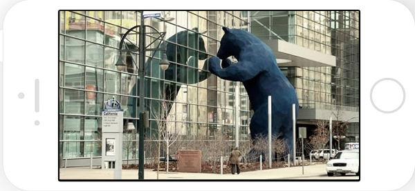 Blue Bear Denver